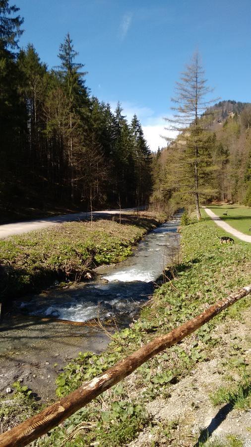 Schwaigeralm Hotell Kreuth Exteriör bild